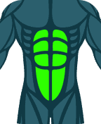 Abdominals