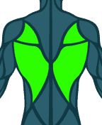 Back