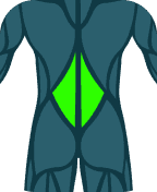 Lumbar