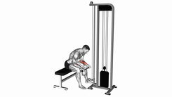Cable Wrist Curl