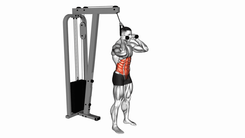 Cable Standing Crunch