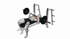 Barbell Bench Press
