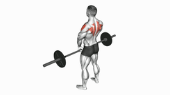 Barbell Upright Row