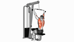 Lat pull down con agarre normal