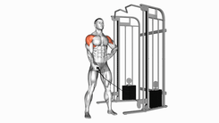 Elevação Lateral na Polia (Unilateral)