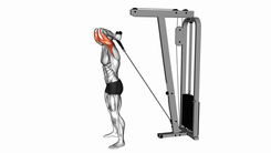 Overhead Rope Triceps Extension