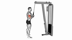 Tricep rope extension
