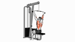 Cable Rear Pulldown