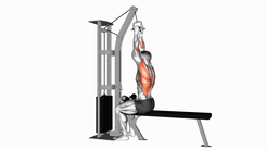 Seated cable row V bar machine