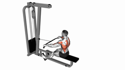 Seated Cable row (normal grip)