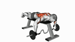 Cambered Bar Lying Row