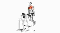 Chest Dip