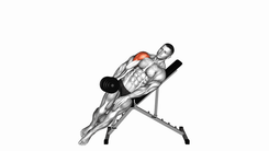 Elevación Lateral Unilateral con Mancuerna en Banco Inclinado
