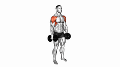 Lateral raises dumbell
