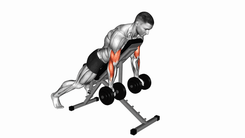 Dumbbell Prone Incline Curl