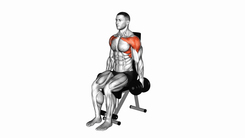 Dumbbell Seated Front Raise