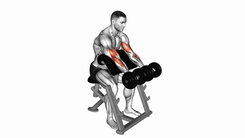 Dumbbell Seated Preacher Curl