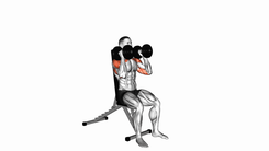 Seated shoulders press dumbbell (parallel)