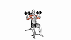 Dumbbell Seated Shoulder Press