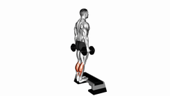 Dumbbell standing calf raise
