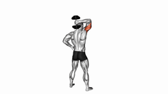 Dumbbell Standing One Arm Extension