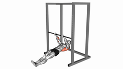 Inverted Rows