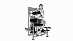 Lever Back Extension