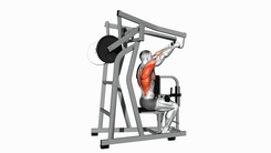 Strength Plate Loaded High Row Both Arms