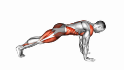 Mountain climbers
