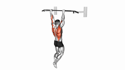 Pull Up normal grip