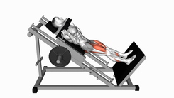 Máquina de Hack Squat