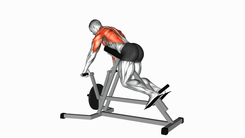 Lying T-bar Row