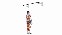 Bodyweight Squat