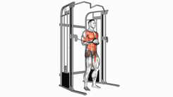 Pallof Press