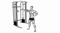 Cable One Arm Inner Biceps Curl
