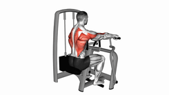 Lever Seated Row