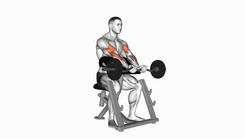 Preacher Curl Ezbar