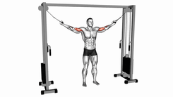 Cable Overhead Curl