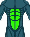 Abdominals