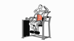 Abdominal Crunch Machine