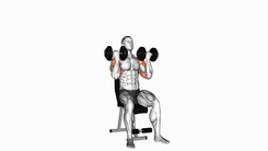Dumbbell Arnold Press