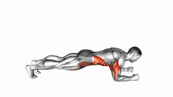Dynamic Plank