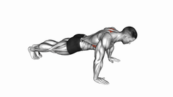 Scapula Push Up