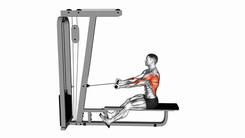Seated Cable row (supine grip)