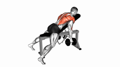 Dumbbell Hammer Grip Incline Bench Two Arm Row