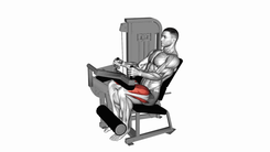 Seated leg extension