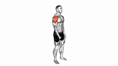 Prone front raises dumbbell