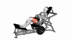 Lever Hip Thrust