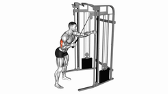 Cable Single Arm Triceps Pushdown Rope