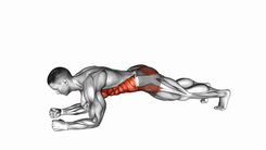 Plank Shoulder Taps